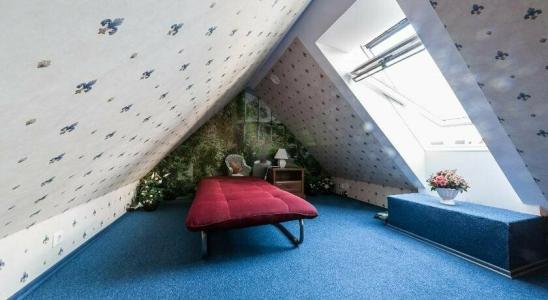 Garden Camping - 5
