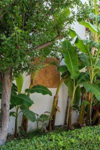 Yalıpark Beach - 41