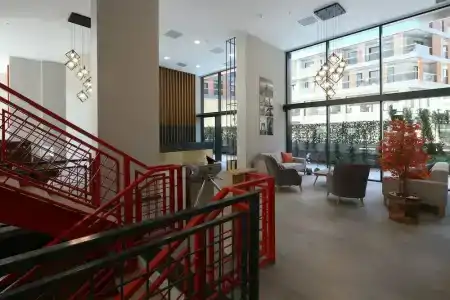 Coordinat Suits - 43