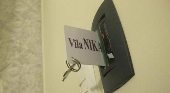 Nika - 1