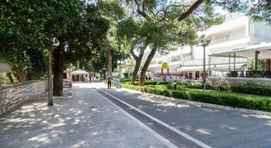 Guest House Ćuk - 20