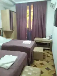 Georgian Palace - 15