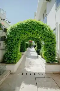 Xperia Saray Beach - All Inclusive - 4