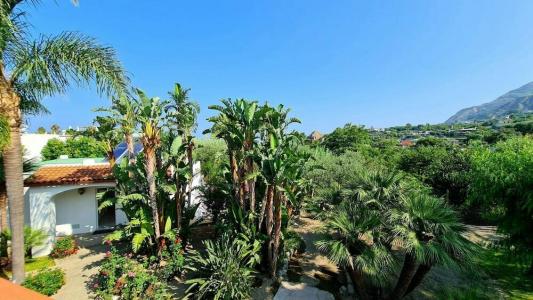 Cocos Park Ischia - 13