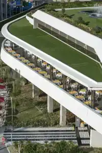 The Sense Deluxe - 16