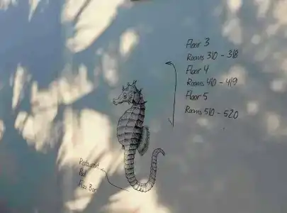 Senses - Adults Only - 47