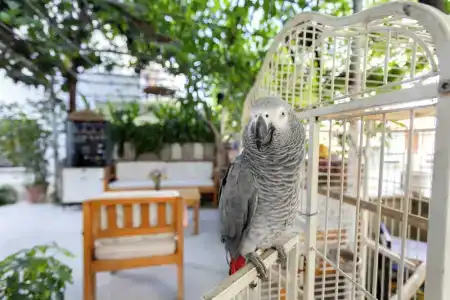 Kaya Apart Datca - 17