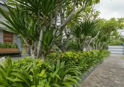 The Banyumas Villa - 49