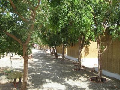 Umbi Sharks Bay Diving Village - 23