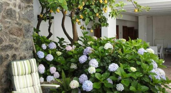 Villa Erade - 2