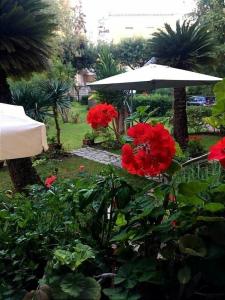 Aedes Resort - 4