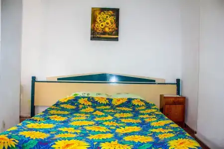 Faralya Gül  Pansiyon - 13