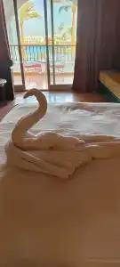 Arabia Azur Resort - All Inclusive - 16