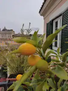 Viminale - 3