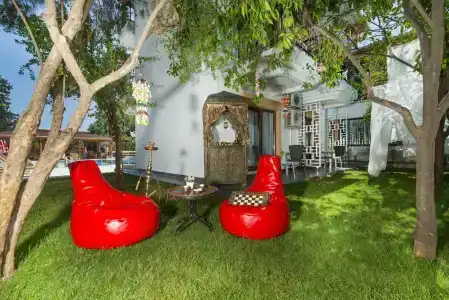 Amore Teki̇Rova - 4