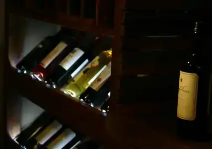 Carménère eco - 16