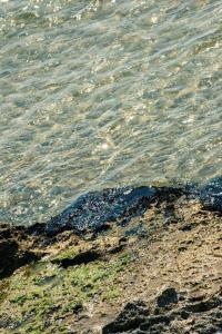 Approdo di Venere - 7