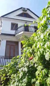 АНДАЛУСИЯ - 43