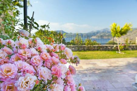 Swan Lake - Adult Only - 9