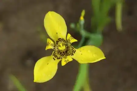 STORY Seychelles - 38