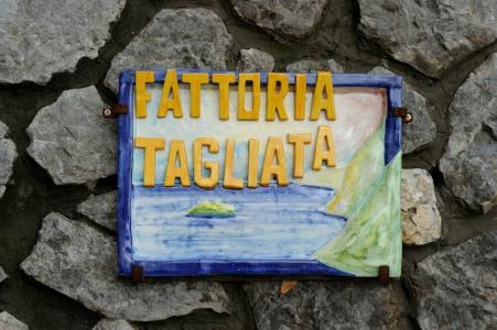 Fattoria la Tagliata - 2