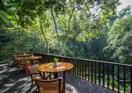 Maya Ubud Resort & Spa - 19