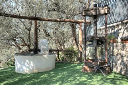 Agriturismo Oleum - 4