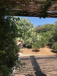 I Dammusini di Pantelleria - 23