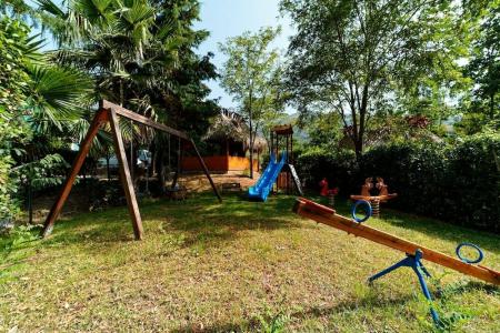 Alberi Del Paradiso - 4