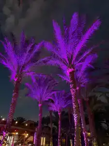 Siva Grand Beach - 45