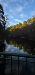 Chernichnyi Bereg - 41