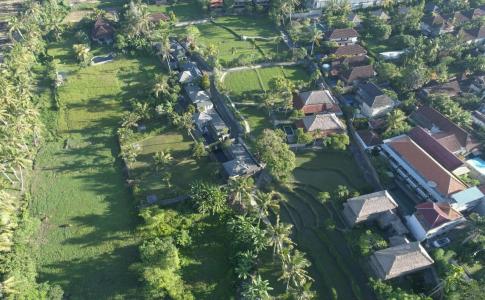 Alpin Resort and Villa Ubud - 36