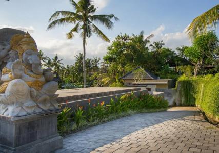 Alpin Resort and Villa Ubud - 10