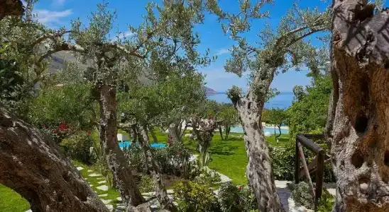 La Tavernetta - 7
