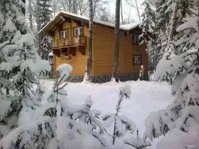 Эко Березовая роща - 92