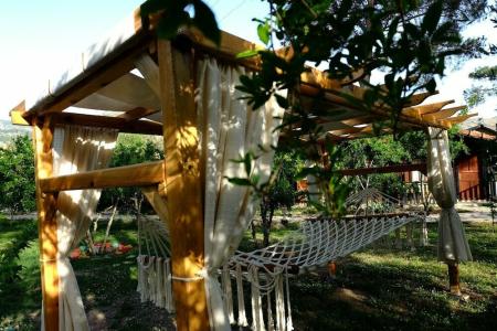 Koala Bungalows - 43