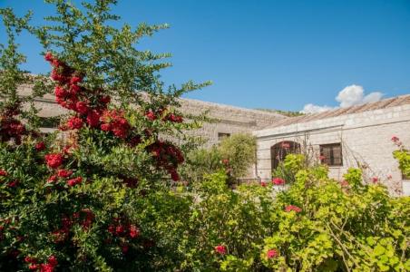 Kallikoros Country Resort & Spa - 10