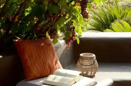 Zubebi Resort - 27