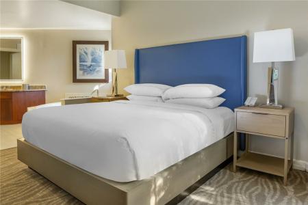 Hilton Grand Vacations Club SeaWorld® - 18