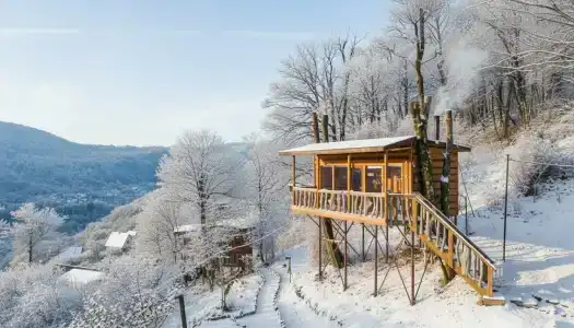 Sergiev Dvor Recreation Center - 4