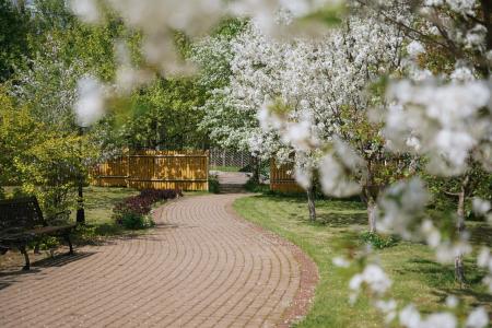 Yur'evskoe Podvor'e - 15