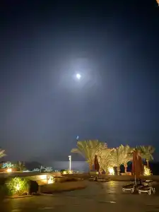 Grand Rotana Resort & Spa - 37