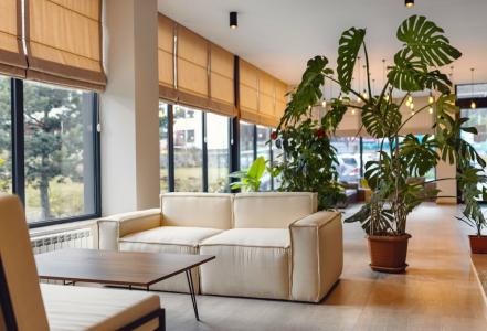 Cottage Crystal Bakuriani - 23