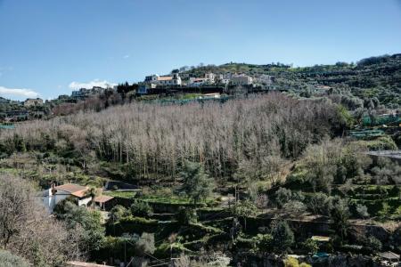 Agriturismo Oleum - 5