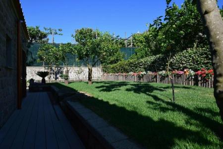 Giardino Sorrentino - 15