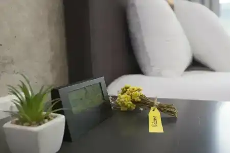 Concept by Coaf - 40