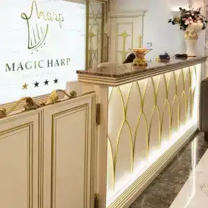 Butik-otel Magic harp - 8