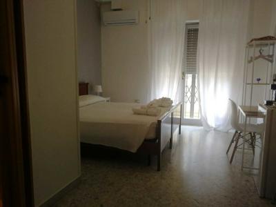 Gatto Bianco Picone 19 - 21