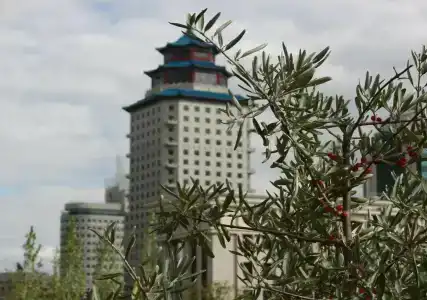 Beijing Palace Soluxe - 23