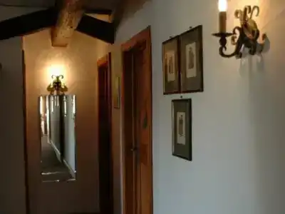 Schwarzer Adler - 14